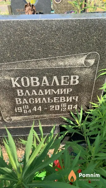 Ковалев Владимир Васильевич