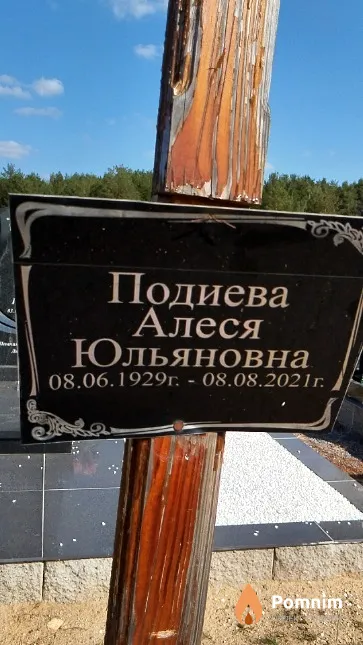Подиева Алеся Юльяновна