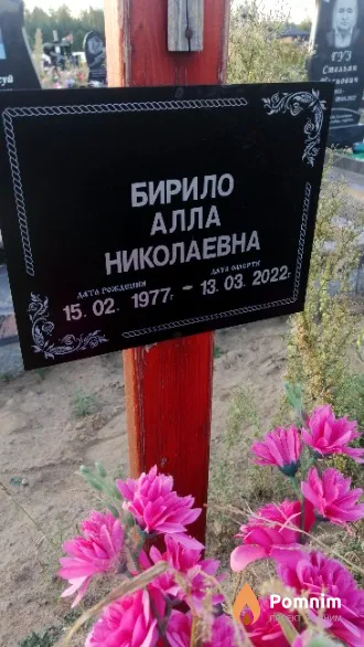Бирило Алла Николаевна
