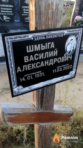 Шмыга Василий Александрович