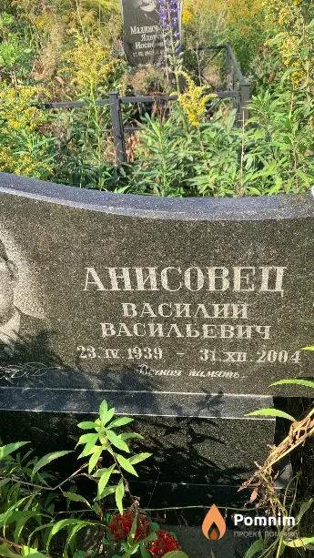 Анисовец Василий Васильевич