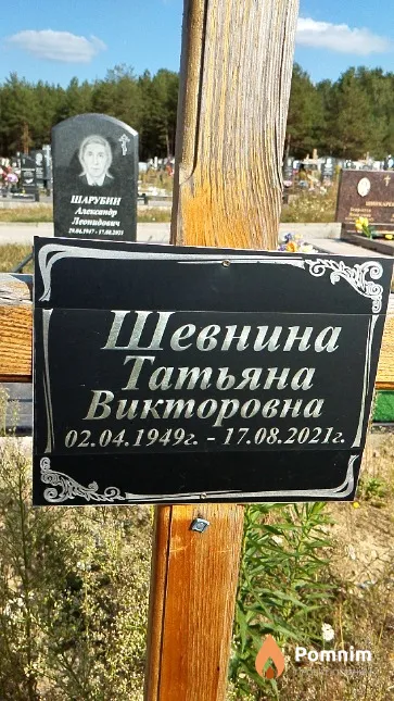 Шевнина Татьяна Викторовна