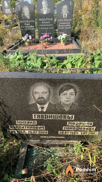 Гавришев Михаил Валентинович