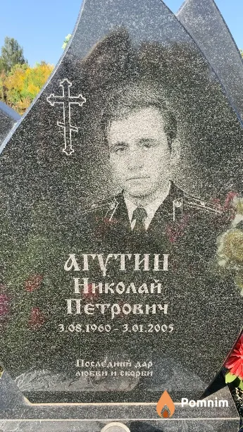 Агутин Николай Петрович