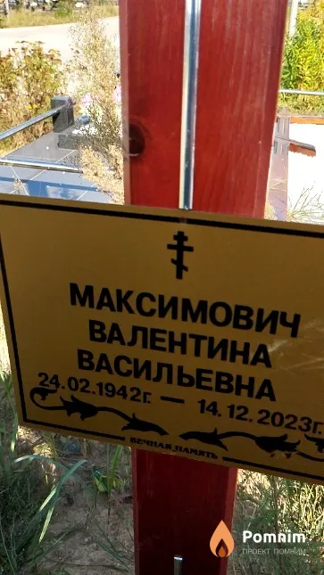 Максимович Валентина Васильевна