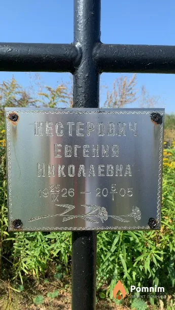 Нестерович Евгения Николаевна