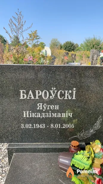 Боровский Евгений Никодимович