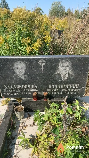 Владимиров Василий Никифорович