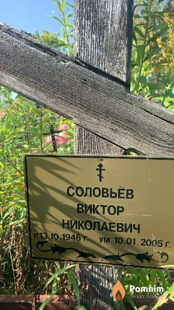 Соловьёв Виктор Николаевич