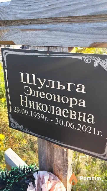 Шульга Элеонора Николаевна