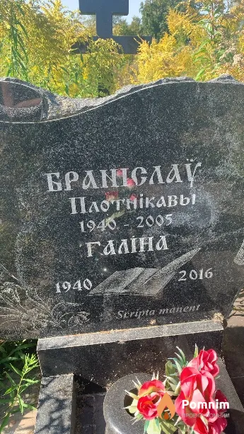 Плотников Бронислав
