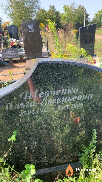 Шевченко Ольга Евгеньевна