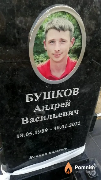 Бушков Андрей Васильевич