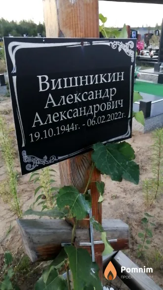 Вишникин Александр Александрович