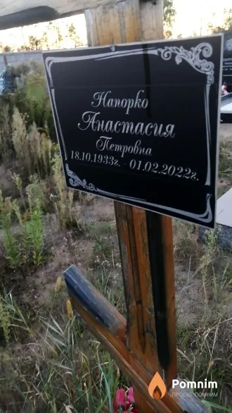 Напорко Анастасия Петровна