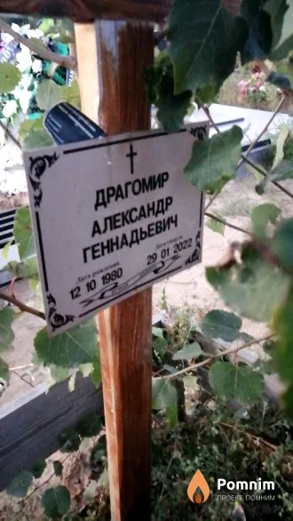Драгомир Александр Геннадьевич