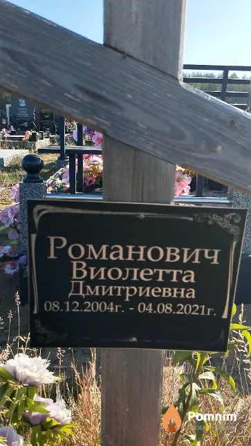 Романович Виолетта Дмитриевна
