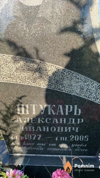 Штукарь Александр Иванович