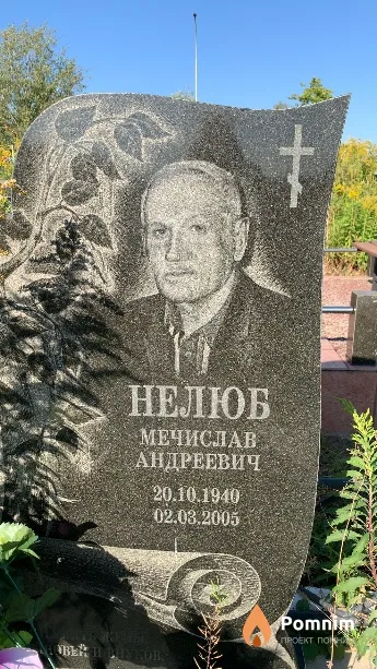 Нелюб Мечислав Андреевич