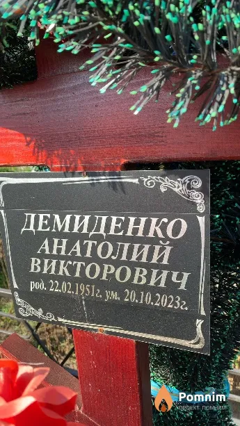 Демиденко Анатолий Викторович