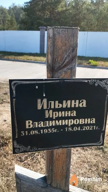 Ильина Ирина Владимировна