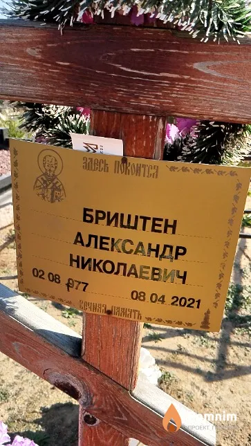 Бриштен Александр Николаевич