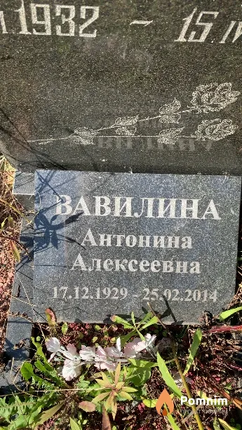 Вавилина Антонина Алексеевна