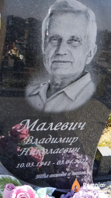 Малевич Владимир Николаевич