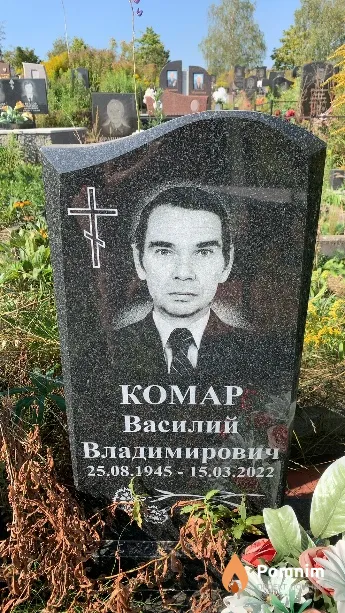 Комар Василий Владимирович