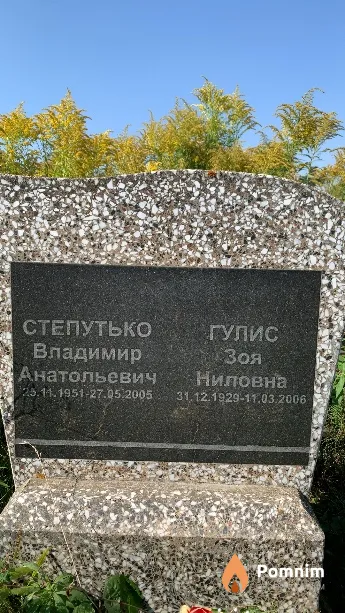 Степутько Владимир Анатольевич
