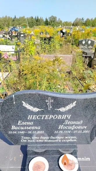 Нестерович Елена Васильевна