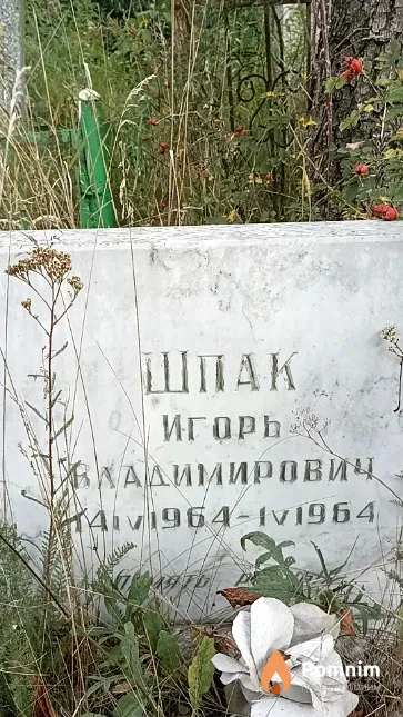 Шпак Игорь Владимирович