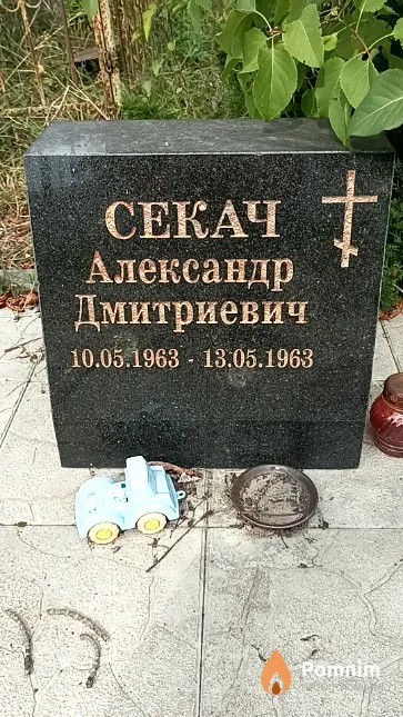 Секач Александр Дмитриевич