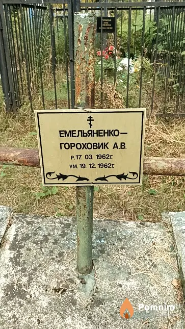 Емельяненко-Гороховик А. В.