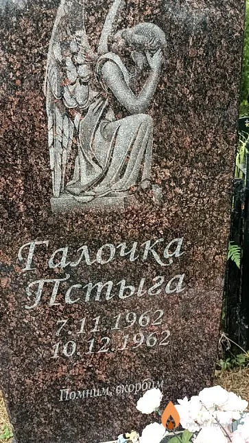 Галочка Пстыга