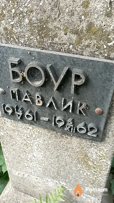 Боур Павлик
