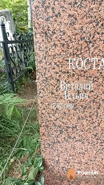 Костарев Виталий Ильич