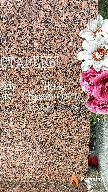 Костарева Нина Казимировна