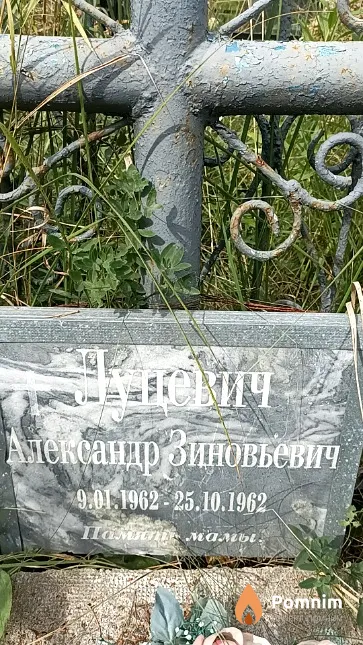 Луцевич Александр Зиновьевич