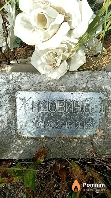 Жидович Д. В.