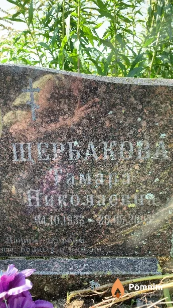 Щербакова Тамара Николаевна
