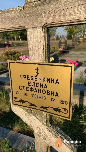 Гребёнкина Елена Стефановна