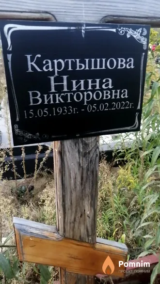 Картышова Нина Викторовна
