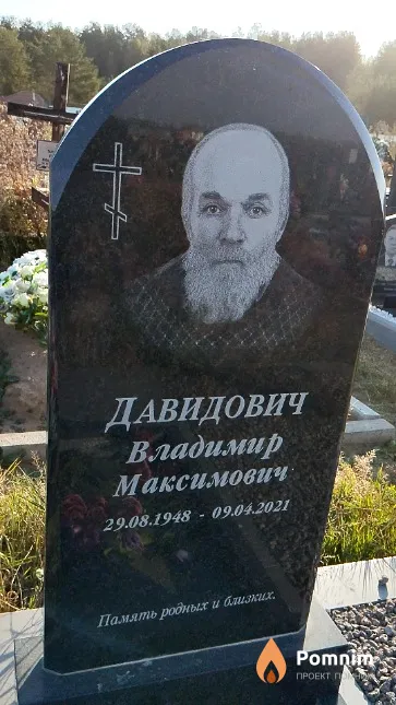 Давидович Владимир Максимович