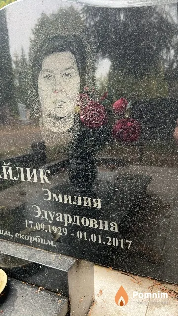 Поцикайлик Эмилия Эдуардовна