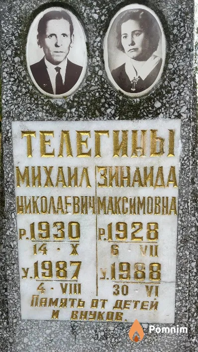 Телегин Михаил Николаевич
