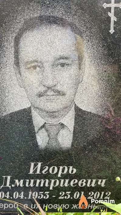 Подлесных Игорь Дмитриевич