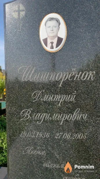 Шишпорёнок Дмитрий Владимирович