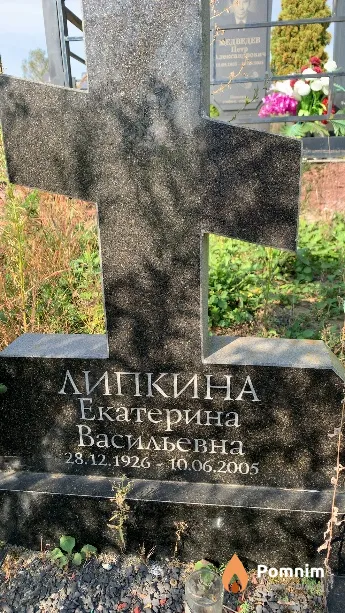 Липкина Екатерина Васильевна