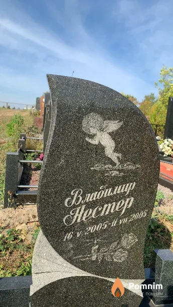 Нестер Владимир